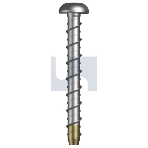 Mungo Xbolt Pro - Dome Head - M6 - 80 - EXD6XP37M060080 - Pack 50