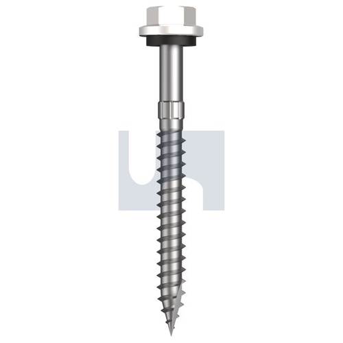AS3566 - TDWW4SS1410065 - Pack 500
