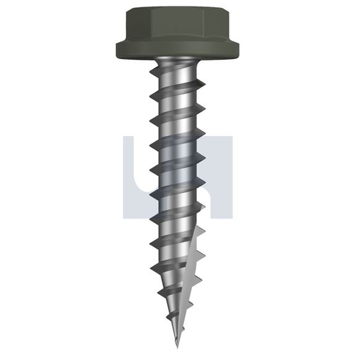 Type 17 Flanged Hex - TMAW4FH1012025 - Pack 1000 - Mangrove - Cl4