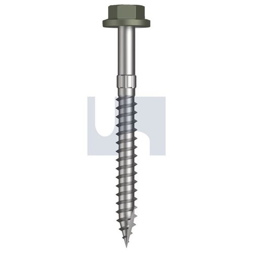 Type 17 Flanged Hex Head - TMAW4FS1410065 - Pack 500 - Mangrove - Cl4
