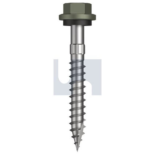 Type 17 Hex Head + Washer - TMAW4SS1410050 - Pack 1000 - Mangrove - Cl4
