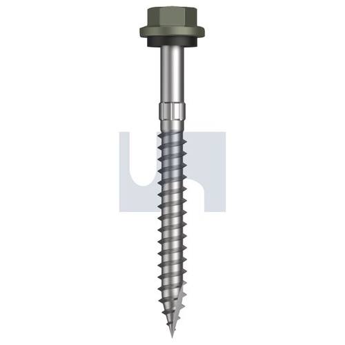 Type 17 Hex Head + Washer - TMAW4SS1410065 - Pack 500 - Mangrove - Cl4