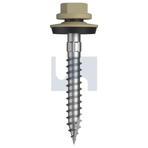 TYPE 17 CYCLONE - MULTISEAL - TSAW4YM1410050 - Pack 250